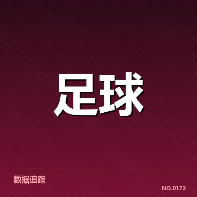 新援名单及训练参与情况核实